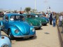Thumbs/tn_Aircooled Scheveningen 035.jpg